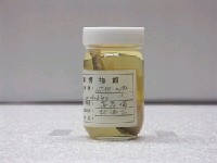 藏品(黑點多紀魨)的圖片